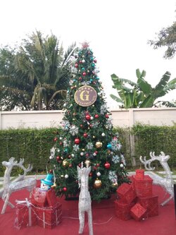 ต้นคริสต์มาสตกแต่งบอลขนาด15ฟุต เขียวสน