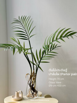 [พร้อมส่ง] Jnihouse : Parlor palm (ปาล์มไผ่) กิ่งไม้ประดิษฐ์ (Tree)