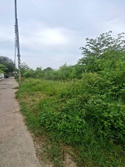 ให้เช่าที่ดินถมแล้ว 1 ไร่ ทำเลดี ติดถนนเฉลิมพระเกียรติ (N.1785)