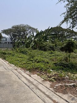 ให้เช่าที่ดิน แปลงสวย กรุงเทพกรีฑา ซอย 20 แยก 3 ใกล้แอร์พอร์ตลิ้งค์หัวหมาก (N.1597)