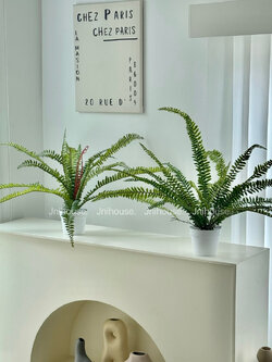 [พร้อมส่ง] Jnihouse : ต้นเฟิร์นบอสตัน ต้นไม้ประดิษฐ์ (Tree