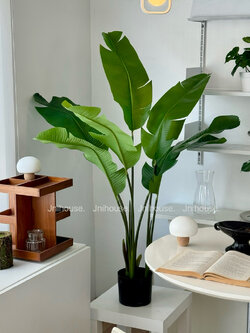 [พร้อมส่ง] Jnihouse : ต้นปักษาสวรรค์ประดิษฐ์(Tree) สูง 120 cm (รุ่นใบมีรอยแยก)