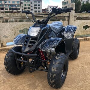 เอทีวี โซน-เอ็กซ์(ZONE-X) ZXAT01 110cc 6" 45km/h