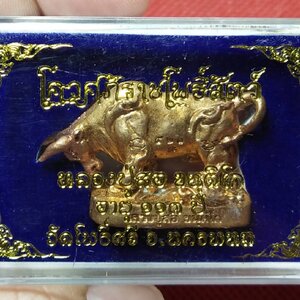 โคอุศุภราชโพธิ์สัตว์ รุ่นแรก หลวงปู่สอ ขันติโก วัดโพธิ์ศรี จ.นครพนม ปี 2561 (เนื้อทองแดงผิวไฟ)