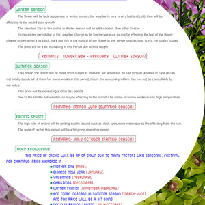 Seasonal Pricing knowledge