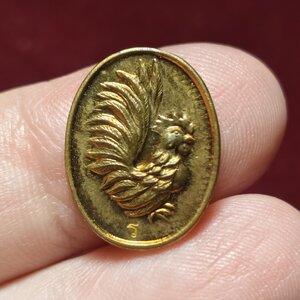 เหรียญไก่ หลวงปู่สรวง วัดถ่ำพรหมสวัสดิ์ จ.ลพบุรี (เลข344) เนื้อทองแดง รุ่นมงคลบารมี ปี2555