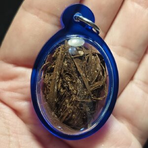 ชานหมากจืด หลวงปู่สิงห์โต สำนักสงฆ์ป่าทรงธรรม จ.อุบลราชธานี (ประสบการณ์สูง)