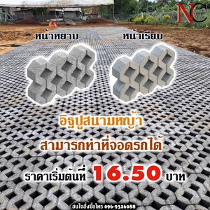 อิฐปูสนามหญ้า ตอง888