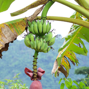 สัญญาณที่โลกกำลังเปลี่ยน… และ ยุคบททดสอบครั้งใหญ่ กำลังเดินมาถึง 🌍