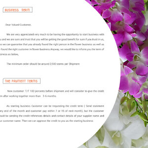 Business Term The payment Terms