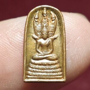 พระนาคปรกใบมะขาม หลังมังกรคู่ หลวงพ่อไพบูลย์ สุมังคโม วัดอนาลโย จ.พะเยา