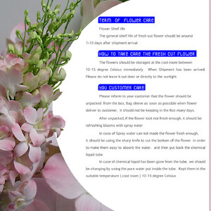How to take care the fresh cut flower