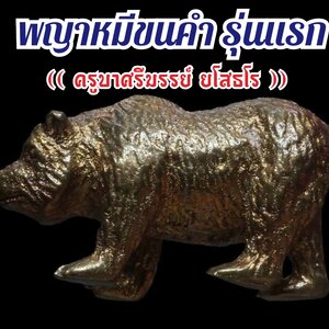 พญาหมีขนคำ รุ่นแรก เนื้อมหาชนวน ครูบาศรีมรรย์ วัดบ่อเต่า จ.เชียงใหม่ ปี 2661