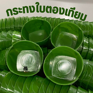 แนะนำแพ็คเกจจิ้งขนมไทย กระทงใบตอง นวัตกรรมคนรุ่นใหม่