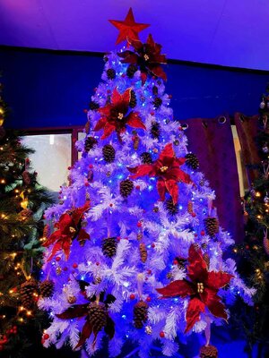 ต้นคริสต์มาสมีทุกไซซ์เลือกแบบขอใบเสนอราคา