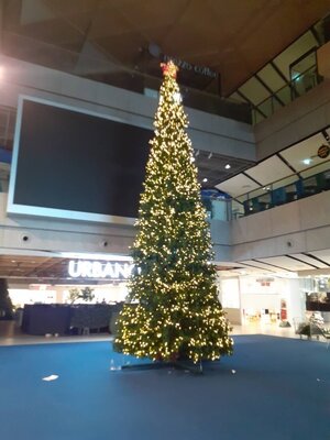 ต้นคริสต์มาสปลอมสีเขียว ขนาด 40ฟุต