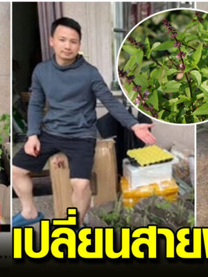 หนุ่มจีน ตั้งใจปลูกกะเพราไว้ให้ภรรยา แต่โตมากลับไม่เป็นอย่างที่คิด