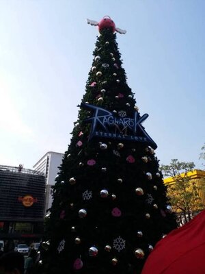 รวบรวมแบบต้นคริสต์มาสทรงกรวยทุกขนาด ดูแบบได้ที่นี่