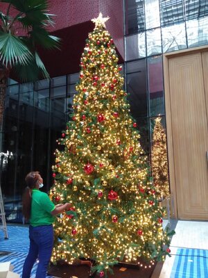 ราคาการเช่าต้นคริสต์มาสปลอม"อัพเดท"2025