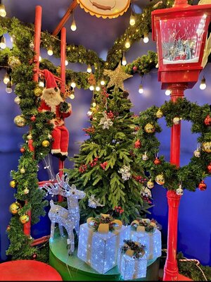 ต้นคริสต์มาสปลอม3ชนิดนี้ราคาเท่าไหร่