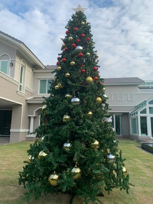 แบบต้นคริสต์มาสทรงสนขนาด15 ft.พร้อมของประดับ