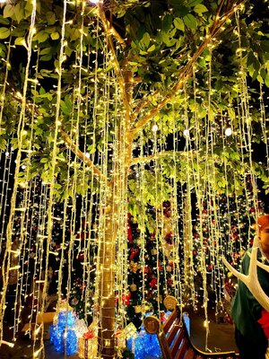 เช่าไฟประดับเทศกาล"ปาร์ตี้Christmasmas"