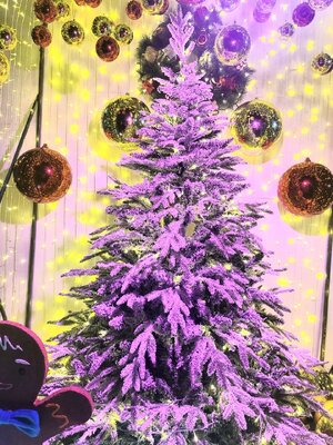 สนนอก ต้นคริสต์มาสเทียม