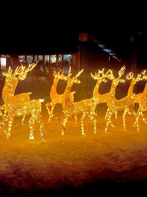 กวางคริสต์มาสset11ตัวประดับ