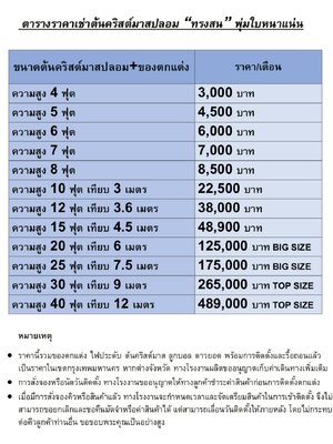 ตารางราคาการเช่าต้นคริสต์มาส