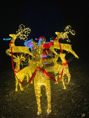 รวมกวางคริสต์มาสเรนเดียร์ประดับไฟ