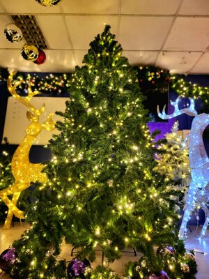 ให้เช่าต้นคริสต์มาสประดับไฟ พุ่มหนา 7ฟุต