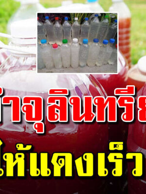 สอนทำจุลินทรีย์สังเคราะห์แสงให้เป็นเร็ว ทำแล้วแดงแน่นอน