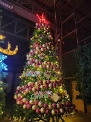 รายล้อมไปด้วยต้นคริสต์มาสปลอม