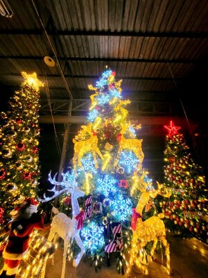 ต้นคริสต์มาสปลอม"สนใหญ่"