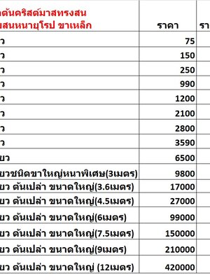 ราคา/รูปแบบต้นคริสต์มาสปลอมยอดนิยม พุ่มใบหนาแน่นขาเหล็ก