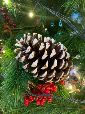 ลูกสนหิมะประดับไม้แท้