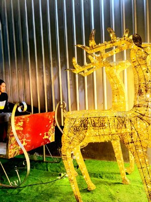 รถเลื่อนลากซานต้าสไลด์ขนาดใหญ่พร้อมกวาง