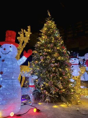 ให้เช่าต้นคริสต์มาสปลอม7ฟุต vip