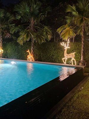 ต้นคริสต์มาสปลอม"อย่าพลาด"