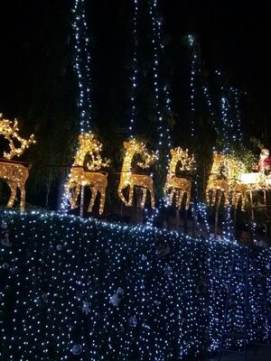 ซานต้าพร้อมรถเลื่อนประดับไฟ