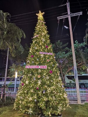 แบบต้นคริสต์มาสสีเขียวพร้อมของประดับขนาด15ft.