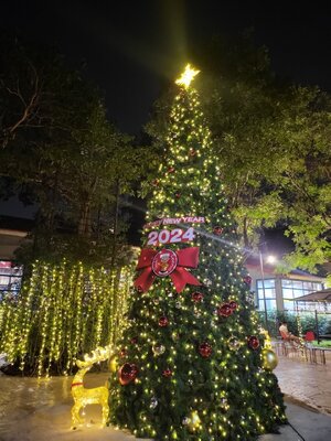 ต้นคริสต์มาสปลอมx"เทียม"