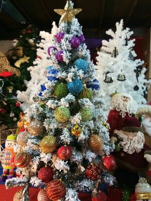 ต้นคริสต์มาสปลอม"สนเทียมธรรมชาติ"
