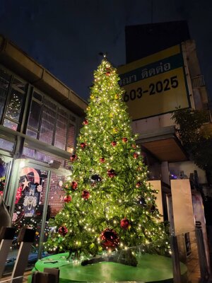 ต้นสนสีเขียวตกแต่งไฟคริสต์มาสขนาด15ฟุต