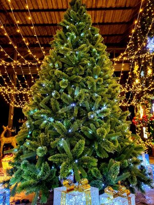 ต้นคริสต์มาสปลอม"สนหยักvip"