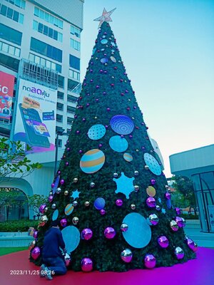 ต้นคริสต์มาสและของตกแต่ง"ยอดฮิต"