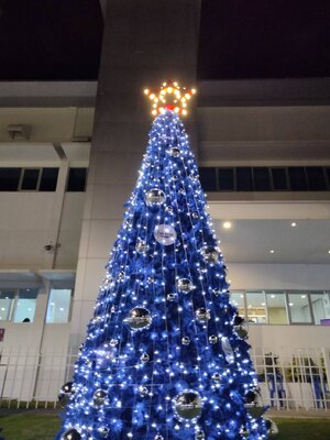 ตกแต่งต้นคริสต์มาสในธีมสีไหนกันดี?