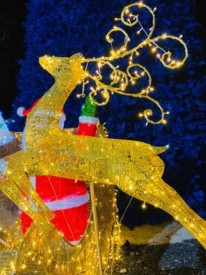 กวางคริสต์มาสเรนเดียร์1.8เมตร กระโดด