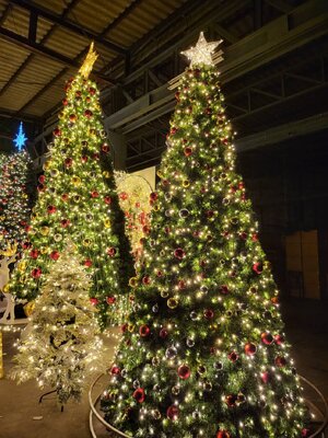 ราคาเช่าต้นคริสต์มาสทรงกรวยยอดนิยม