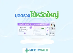 ชุดตรวจไข้หวัดใหญ่ ชุดตรวจไข้หวัดใหญ่